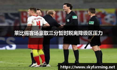 莱比锡客场豪取三分暂时脱离降级区压力