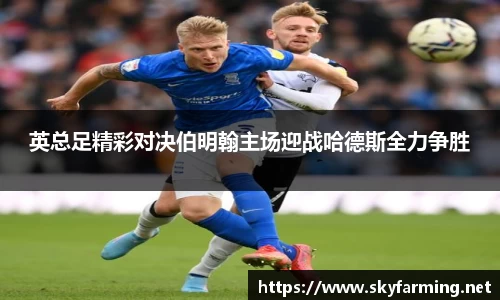 英总足精彩对决伯明翰主场迎战哈德斯全力争胜